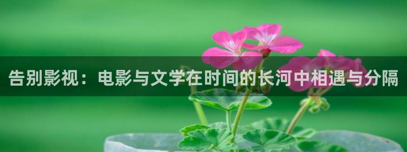 福利影院草莓：告别影视：电影与文学在时间的长河中相遇与分隔