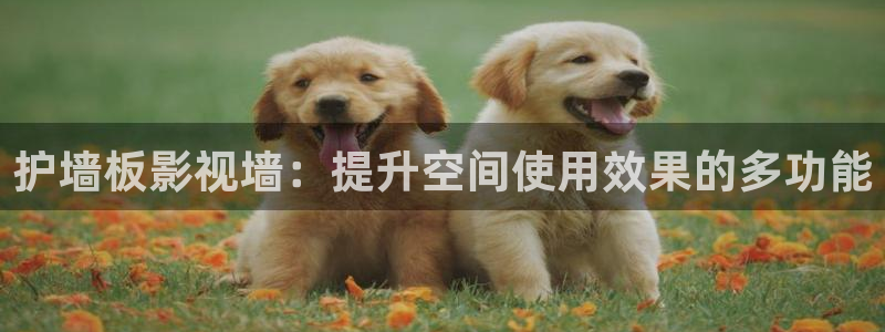 草莓视频ios免费观看：护墙板影视墙：提升空间使用效果的多功能