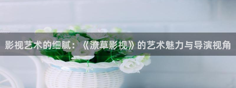 草莓视频hh：影视艺术的细腻：《潦草影视》的艺术魅力与导演视角