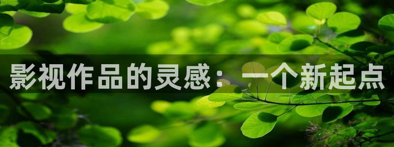 草莓视频更多网站：影视作品的灵感：一个新起点