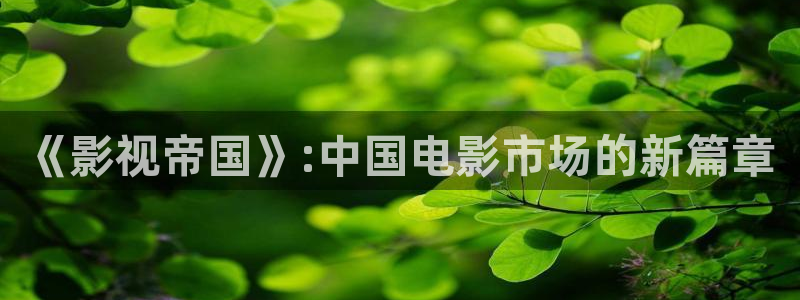 草莓视频丝瓜视频黄瓜视频：《影视帝国》:中国电影市场的新篇章